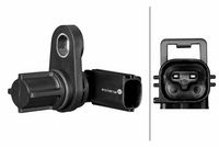 Sensor, Raddrehzahl