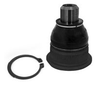 Trag-/Führungsgelenk