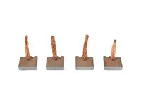 Carbon Brush, starter