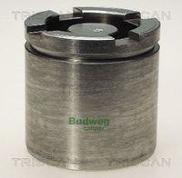 Kolben, Bremssattel