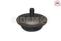 Mounting, control/trailing arm