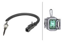 Sensor, Abgastemperatur