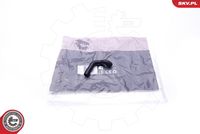 Hose, crankcase ventilation