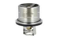 Thermostat, Kühlmittel