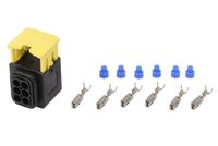 TRUCKLIGHT Stekker 2