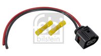 Stecker