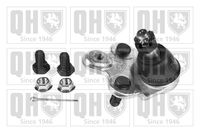 Trag-/Führungsgelenk