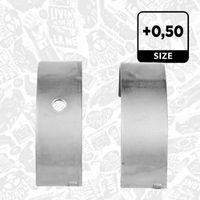 Thumbnail - Hoofdlager - LH002950 - ET ENGINETEAM