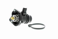 Thermostat Housing