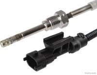 Sensor, Abgastemperatur