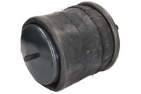 Magnum Technology Veerbalg, luchtvering 2