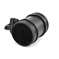 DELPHI Luchtmassameter 5