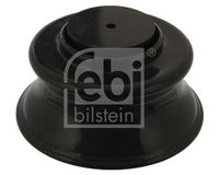 PISTON PERNA DE AER