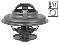 Thermostat, Kühlmittel