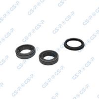 Set rulment roata GSP, Cod: GKX0042
