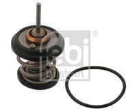 Thermostat, Kühlmittel