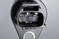 Article Picture