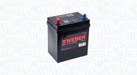 Starterbatterie