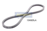 Curea transmisie JAPANPARTS, Cod: DT-13X825LA