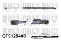 Gasfeder, Koffer-/Laderaum