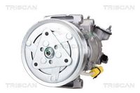 Compresor, climatizare TRISCAN, Cod: 9020 28004