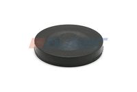 Lock Ring, steering knuckle