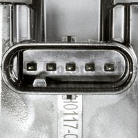 Article Picture