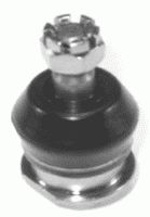 Trag-/Führungsgelenk