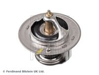 Thermostat, Kühlmittel