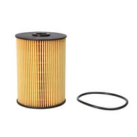 горивен филтър