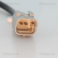 Article Picture