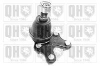 Trag-/Führungsgelenk