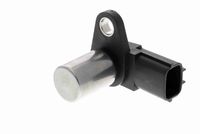 Article Picture