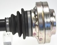 Article Picture