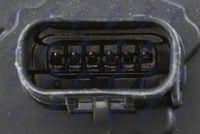 Article Picture