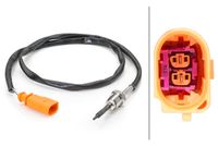 Sensor, Abgastemperatur