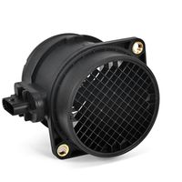 DELPHI Luchtmassameter 6