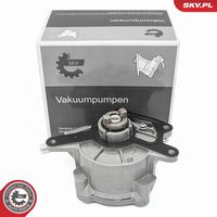 Vacuum Pump, braking system