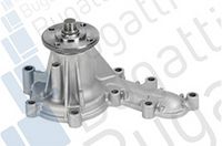 Wasserpumpe, Motorkühlung