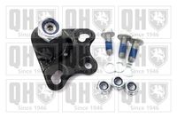 Trag-/Führungsgelenk