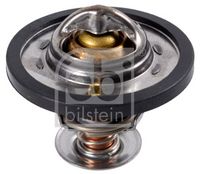 Thermostat, Kühlmittel