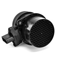 DELPHI Luchtmassameter 7