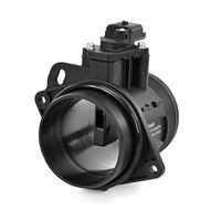 DELPHI Luchtmassameter 5