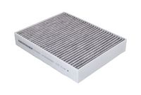 Filtru polen / aer habitaclu KAMOKA, Cod: F509501