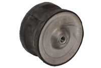 Suport motor REINHOCH, Cod: RH58-5001