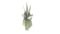 Thumbnail - Koelventilatorwiel - CFF430000P - MAHLE