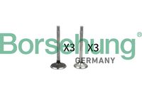 Ventilsatz, Einlass-/Auslassventil
