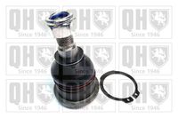 Trag-/Führungsgelenk