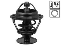 Thermostat, Kühlmittel