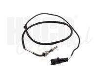 Sensor, Abgastemperatur